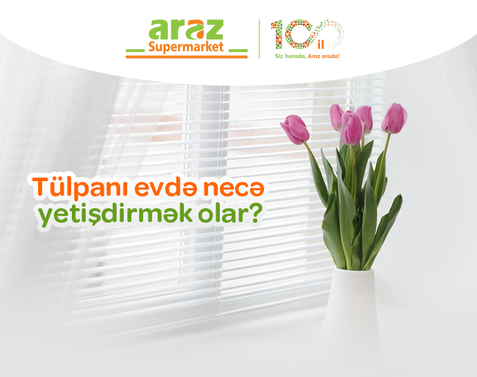 evde-tulran-ciceyi-nese-yetisdirmek-olar-32