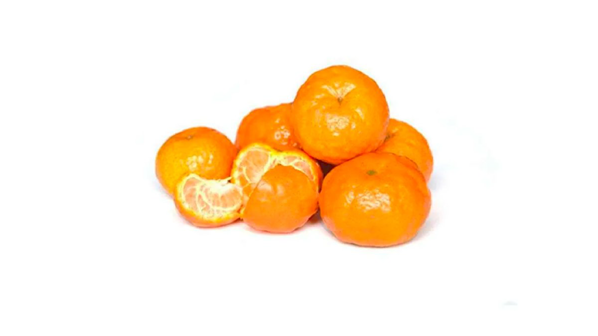 mandarin-ekonom-1kq-1882