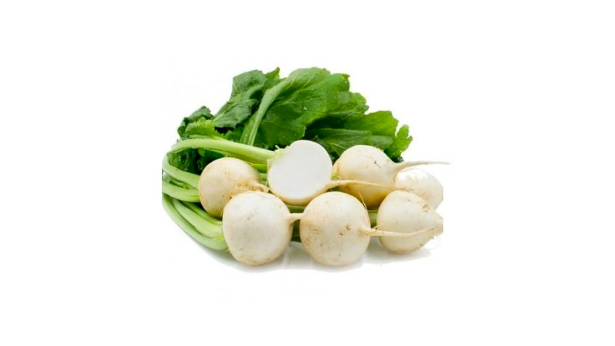 turp-ag-1kq-2024