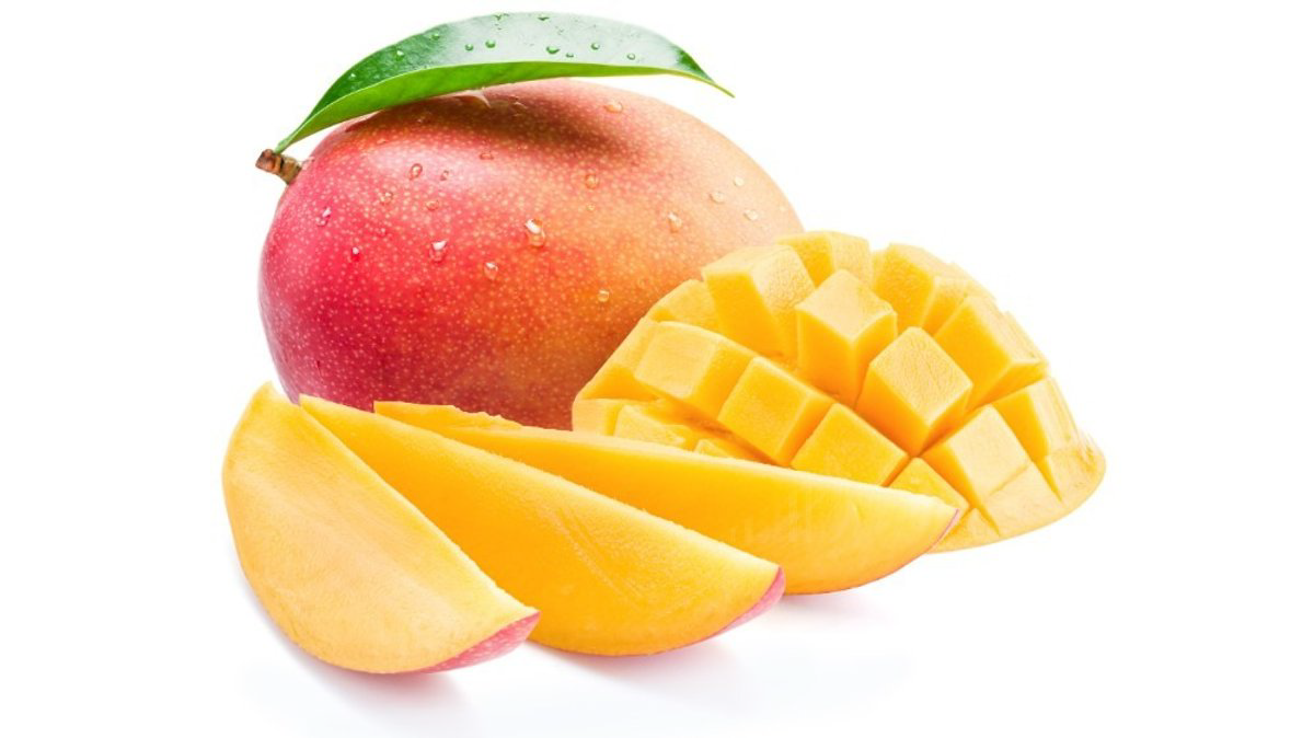 mango-ed-1862