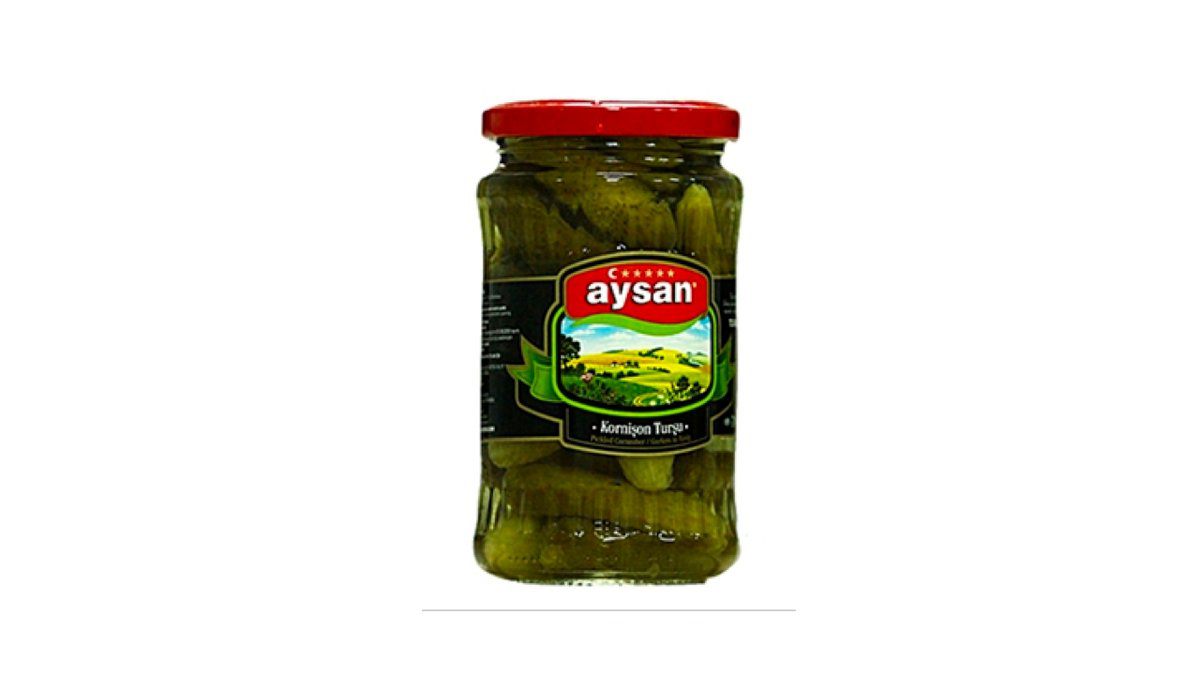 aysan-tursu-xiyar-340qr-8527