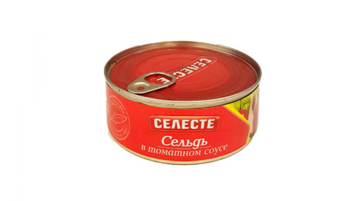 seleste-siyenek-tomat-sousda-240qr-8523