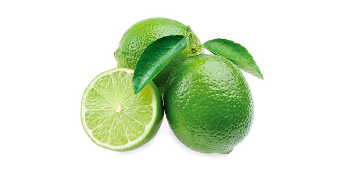 limon-lime-eded-2019