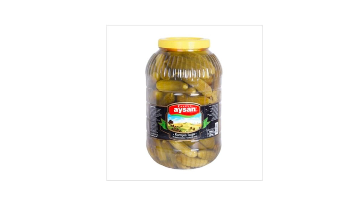 aysan-xiyar-tursuse-670qr-8532