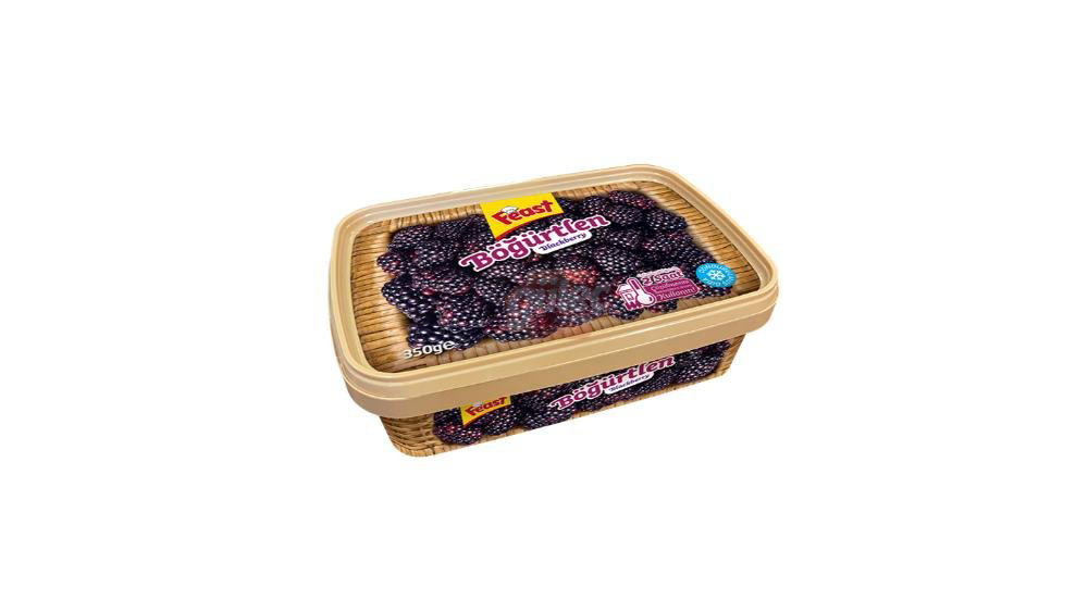 feast-dondurulmus-boyurtken-350qr-7865